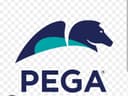 Pega logo