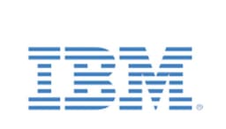 IBM InfoSphere Information Server logo